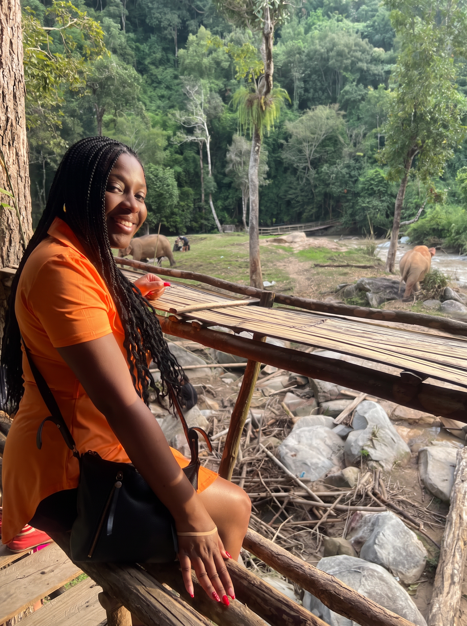 Cats, Elephants & AirAsia